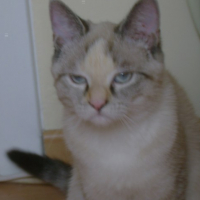 Photo #20257 de Charlotte