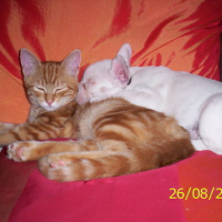Câlin avec ma copine Lila