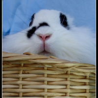Photo #20725 de Lisa