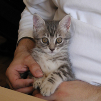 Photo #21247 de Pollux