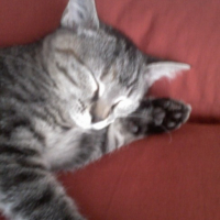 Photo #21577 de Cali