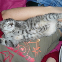 Photo #21583 de Cali