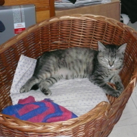 Photo #21589 de Cali