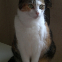 Photo #21775 de Mouchette