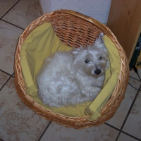 Mon petit coin, que je prête parfois à Totore