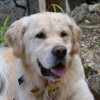2008_0928fanny0218