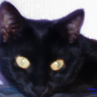 Photo #23383 de Xena