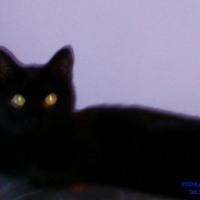 Photo #23389 de Xena