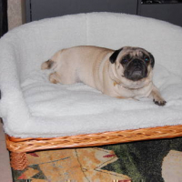 Photo #23623 de Sirius