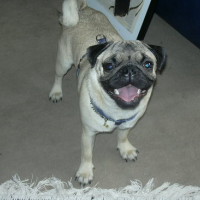 Photo #23641 de Sirius
