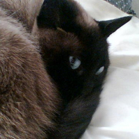 Photo007