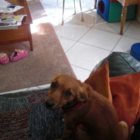 Photo_papa_021