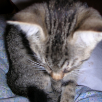 DSCN3369