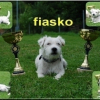 FiWinnerMontage