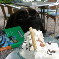 Photo #25303 de Bacchus