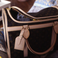 Photo #25363 de Vogue