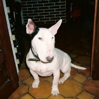 Photo #26935 de Abyss
