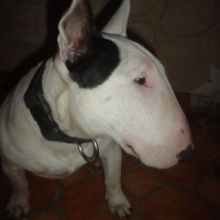 Photo #26947 de Abyss