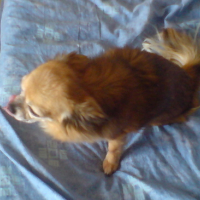 Photo #27973 de Lili