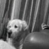 Titou