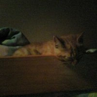 Photo #29833 de Mon bebe