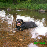 Photo #30393 de Calypso