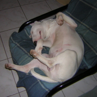 Photo #30475 de V'ron