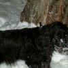 Hum ch'est bon la neige