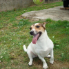 DSC00485