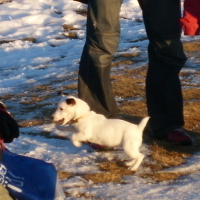 Photo #31489 de Cerize