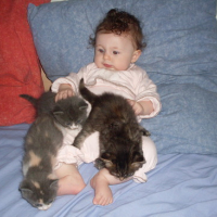 Photo #31891 de Tatoo