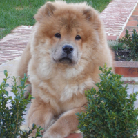 Photo #31957 de Calia