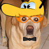 pret pour mardi gras lol comment me trouvez vous ?