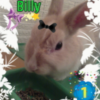 Photo #32383 de Billy