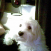 Photo018