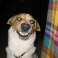 Photo #32503 de Tekila