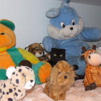 Photo #32509 de Frimousse