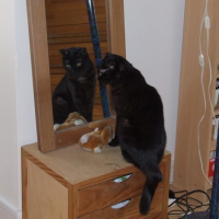 Photo #32545 de Frimousse