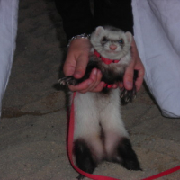 Cette tête bah !! Maman enlève le sable !!