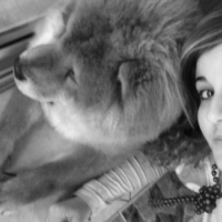 Photo #34093 de Calia