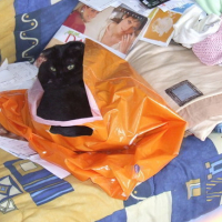 Photo #34213 de Frimousse