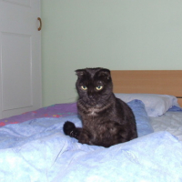 Photo #34219 de Frimousse