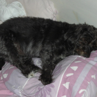 Photo #34585 de Septembre
