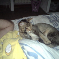 Photo #35023 de Youki