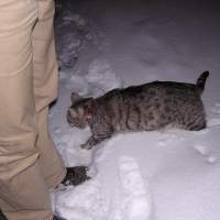 oh la la...la neige!!!