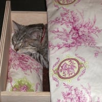 Dans mon lit...