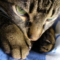 Photo #35365 de Billy