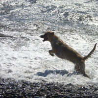 Photo #35455 de Olga