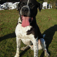 Photo #35497 de Baîco