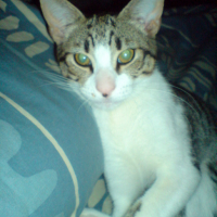 Photo #35845 de Sassie